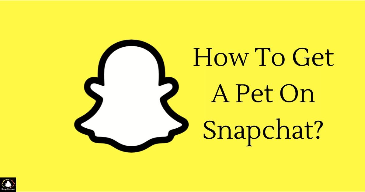 How To Get A Pet On Snapchat?