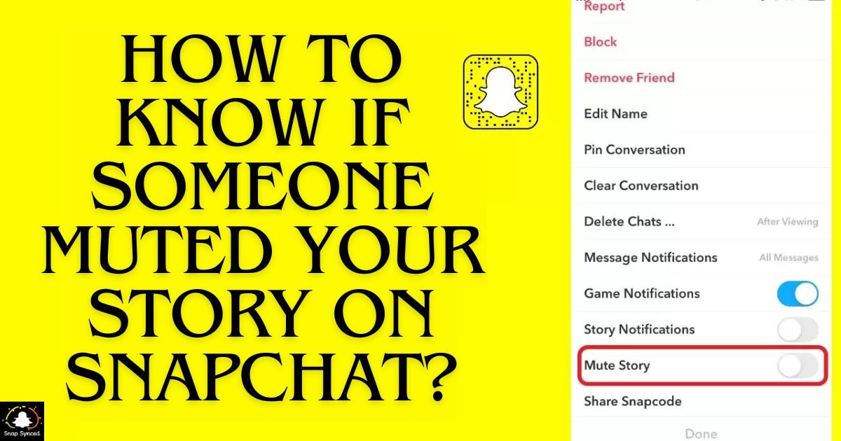 How To Know If Someone Muted Your Story On Snapchat?